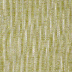 S2239 Palm by Greenhouse Fabric