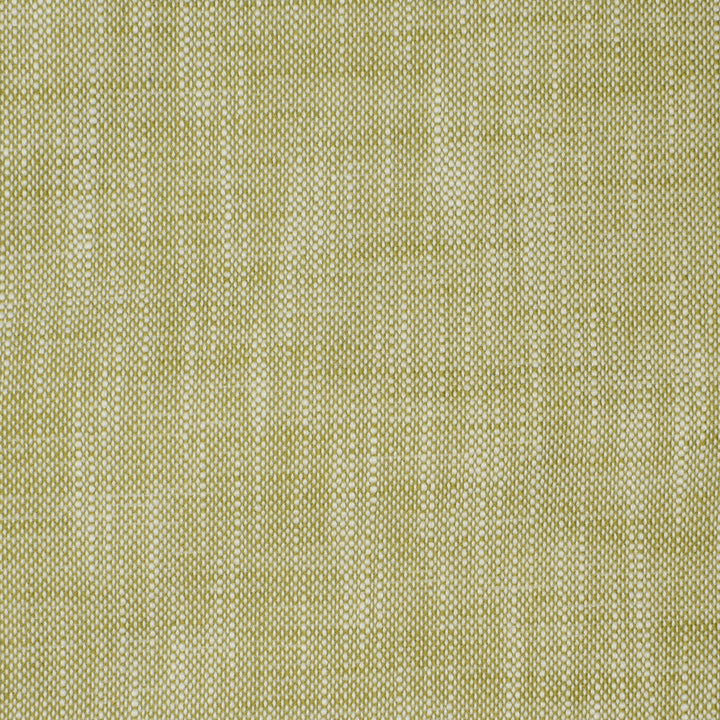 S2239 Palm by Greenhouse Fabric 100% Polyester (Uv)
 1,200 Light Hours USA 105,000 </p><p>Repeat: .063" H, .063" V 55" - Fabric Carolina -
