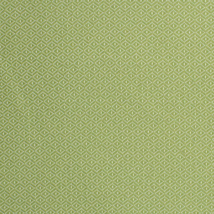 S2246 Lawn by Greenhouse Fabric 100% Polyester (Uv) USA 60,000 double rubs </p><p>Repeat: .344" H, .406" V 55" - Fabric Carolina -