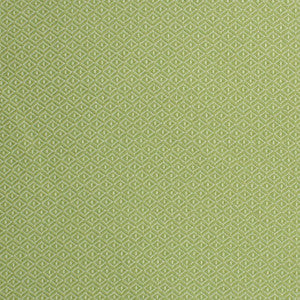 S2246 Lawn by Greenhouse Fabric