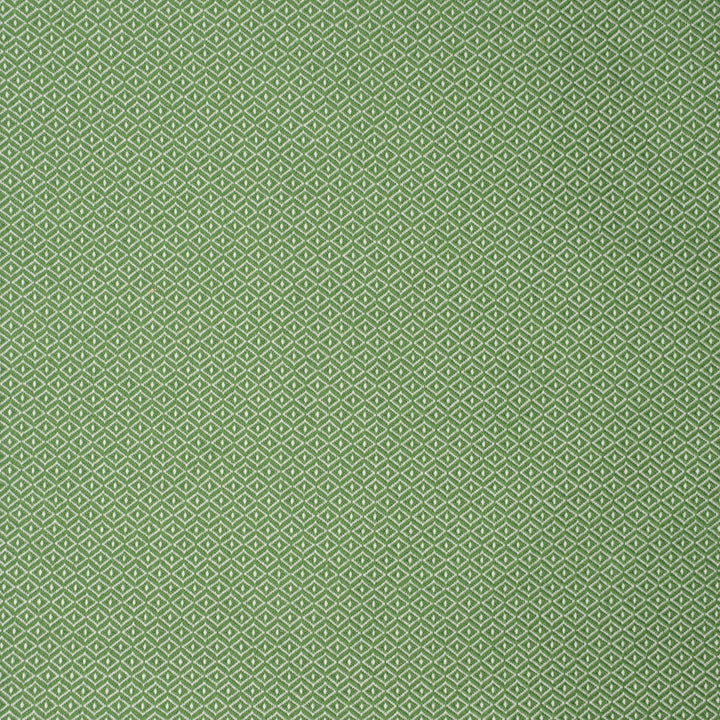 S2251 Green by Greenhouse Fabric 100% Polyester (Uv) USA 60,000 </p><p>Repeat: .344" H, .406" V 55" - Fabric Carolina -