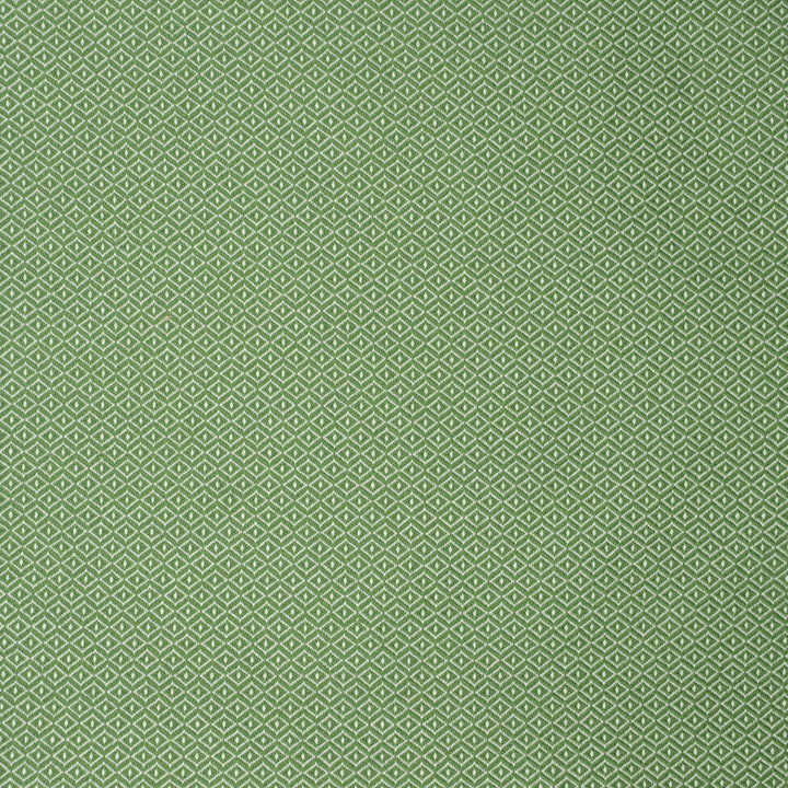 S2251 Green by Greenhouse Fabric 100% Polyester (Uv) USA 60,000 double rubs </p><p>Repeat: .344" H, .406" V 55" - Fabric Carolina -