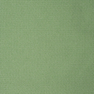 S2251 Green by Greenhouse Fabric