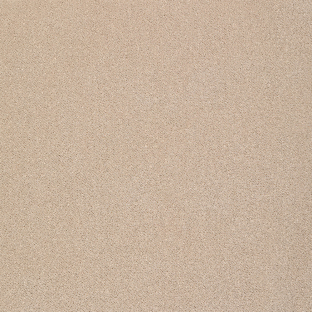 S2293 Flax by Greenhouse Fabric S61: Crypton Velvet 100% Polyester India 50,000 double rubs Soil Resistant </p><p>Repeat: None 54" - Fabric Carolina -