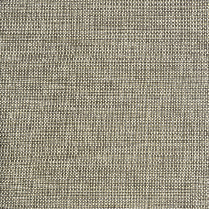 S2296 Pewter by Greenhouse Fabric 57.56% Polyester, 21.95% Cotton, 20.07% Rayon, .42% Nylon USA 45,000 double rubs </p><p>Repeat: .188" H, .05" V 55" - Fabric Carolina -