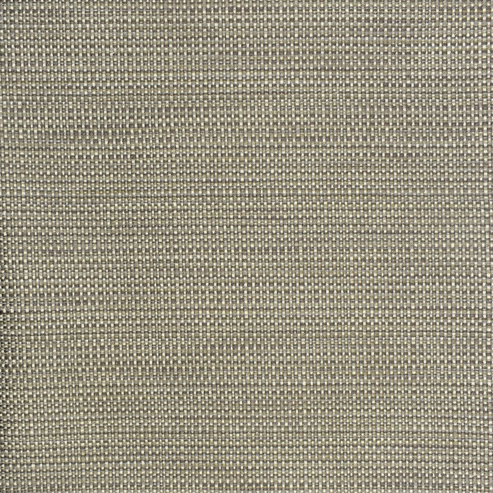 S2296 Pewter by Greenhouse Fabric 57.56% Polyester, 21.95% Cotton, 20.07% Rayon, .42% Nylon USA 45,000 </p><p>Repeat: .188" H, .05" V 55" - Fabric Carolina -