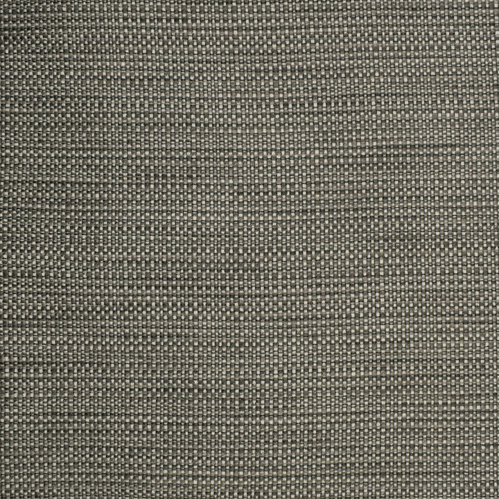 S2303 Chrome by Greenhouse Fabric S26: Crypton Home Neutrals 57.56% Polyester, 21.95% Cotton, 20.07% Rayon, .42% Nylon USA 45,000 double rubs Crypton </p><p>Repeat: .188" H, .05" V 55" - Fabric Carolina -