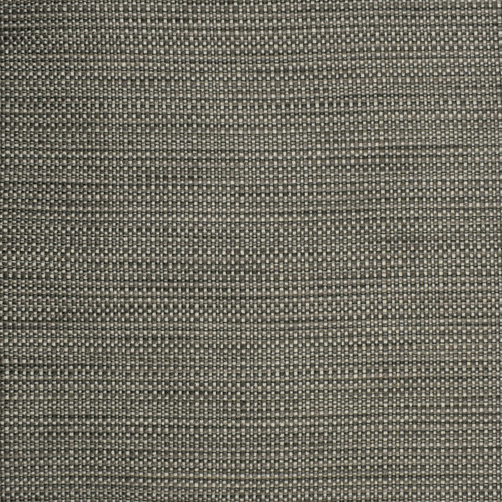 S2303 Chrome by Greenhouse Fabric 57.56% Polyester, 21.95% Cotton, 20.07% Rayon, .42% Nylon USA 45,000 </p><p>Repeat: .188" H, .05" V 55" - Fabric Carolina -