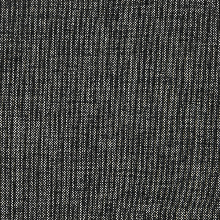 S2309 Charcoal by Greenhouse Fabric S46: Crypton Home Neutrals 92% Polyester, 8% Linen China 100,000 double rubs </p><p>Repeat: NONE 54" - Fabric Carolina -