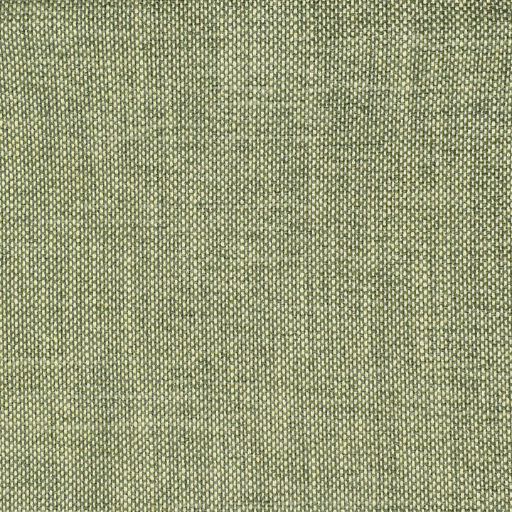 S2354 Eucalyptus by Greenhouse Fabric 70% Polyester, 25% Viscose, 5% Linen China 100,000 double rubs </p><p>Repeat: NONE 54" - Fabric Carolina -