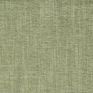 S2354 Eucalyptus by Greenhouse Fabric