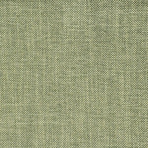 S2354 Eucalyptus by Greenhouse Fabric