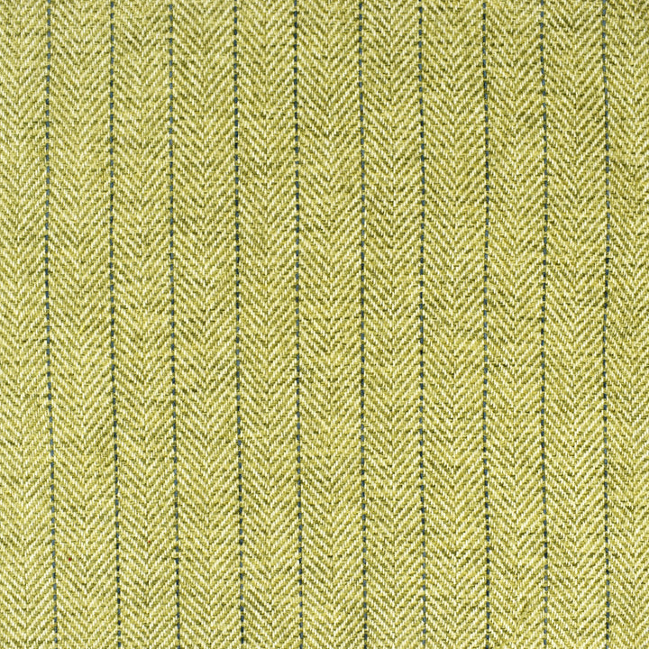 S2406 Kiwi by Greenhouse Fabric 100% Polyester India 51,000 double rubs </p><p>Repeat: 2" H, .5" V 54" - Fabric Carolina -
