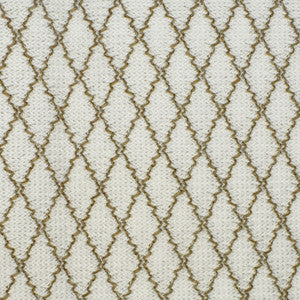 S2453 Brine by Greenhouse Fabric
