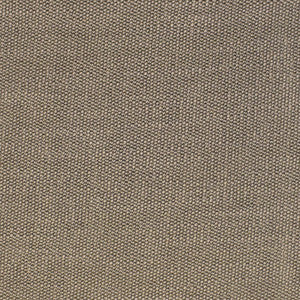 S2521 Stone by Greenhouse Fabric