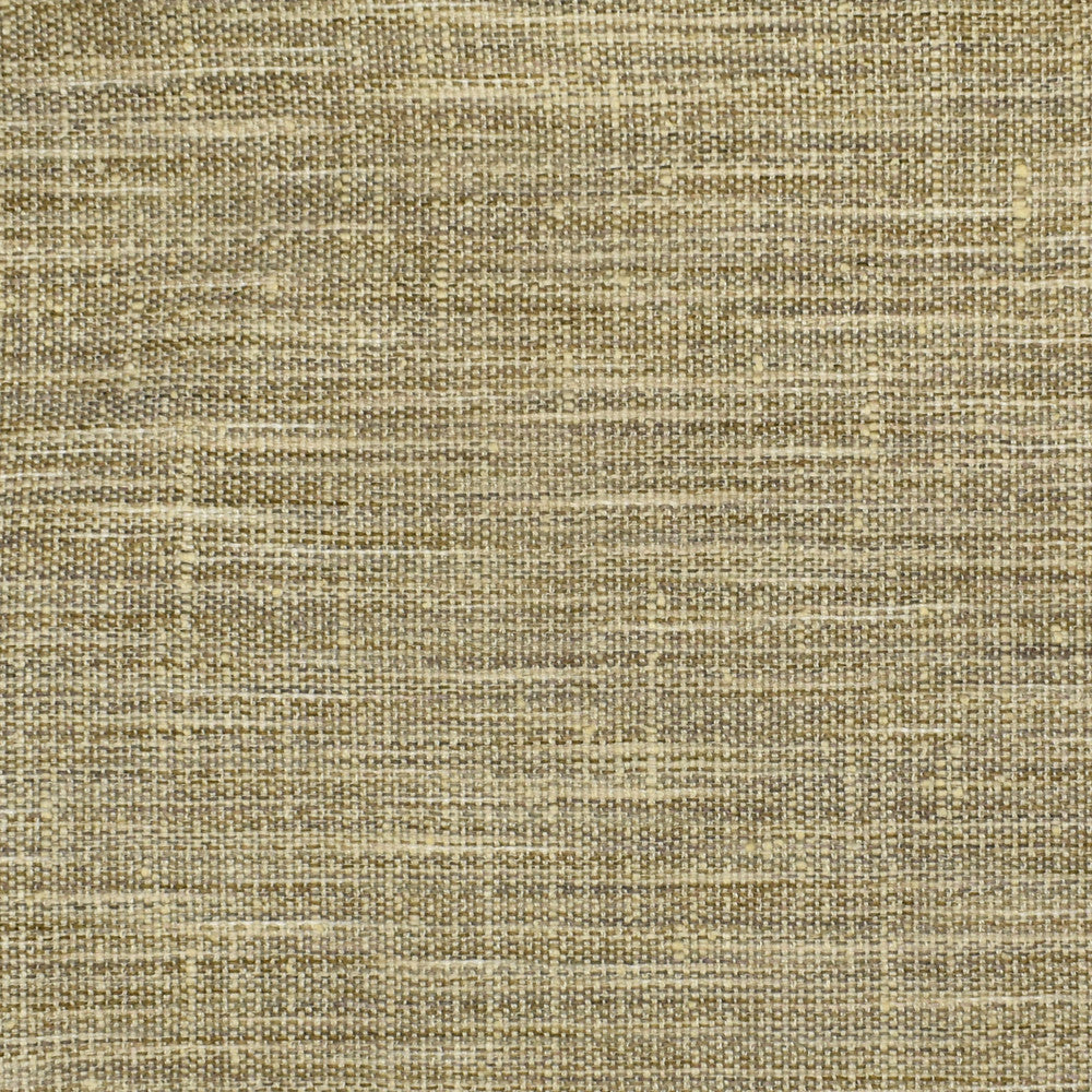 S2535 Fossil by Greenhouse Fabric 100% Polyester India 51,000 double rubs </p><p>Repeat: None 54" - Fabric Carolina -