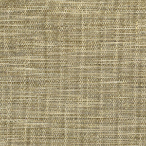 S2535 Fossil by Greenhouse Fabric