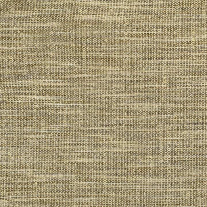 S2535 Fossil by Greenhouse Fabric 100% Polyester India 51,000 double rubs </p><p>Repeat: None 54" - Fabric Carolina -