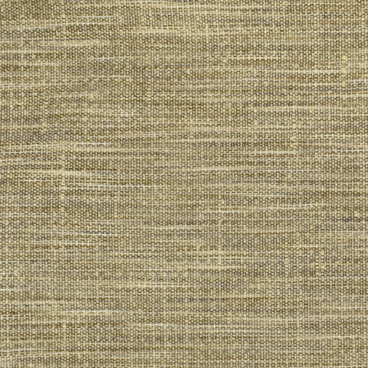 S2535 Fossil by Greenhouse Fabric 100% Polyester INDIA 51,000 </p><p>Repeat: None 54" - Fabric Carolina -