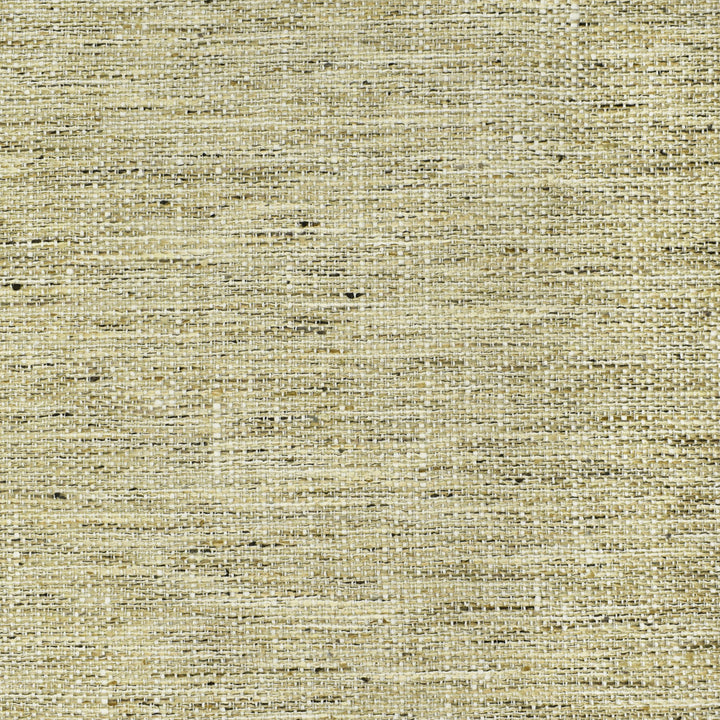 S2537 Linen by Greenhouse Fabric 100% Polyester India 51,000 double rubs </p><p>Repeat: None 54" - Fabric Carolina -