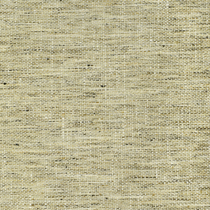S2537 Linen by Greenhouse Fabric 100% Polyester INDIA 51,000 </p><p>Repeat: None 54" - Fabric Carolina -