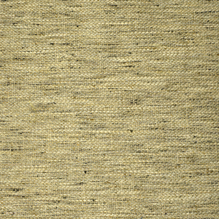 S2540 Flax by Greenhouse Fabric S32: Venice Luxe Neutrals 100% Polyester India 51,000 double rubs </p><p>Repeat: None 54" - Fabric Carolina -