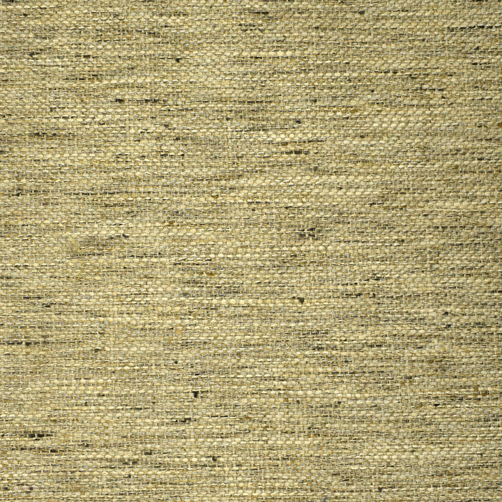 S2540 Flax by Greenhouse Fabric 100% Polyester INDIA 51,000 </p><p>Repeat: None 54" - Fabric Carolina -