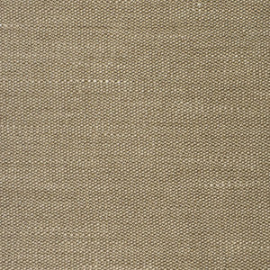 S2542 Pebble by Greenhouse Fabric