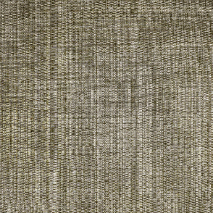 S2591 Truffle by Greenhouse Fabric 66% Polyester, 34% Cotton India 36,000 double rubs </p><p>Repeat: No Definite Repeat 56" - Fabric Carolina -