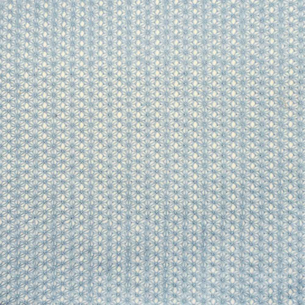 S2645 Chambray by Greenhouse Fabric S34: Statement Embroideries 50% Cotton, 50% Polyester W/ 100% Viscose Embroidery India 9,000 double rubs </p><p>Repeat: .75" H, .5" V 52" - Fabric Carolina -