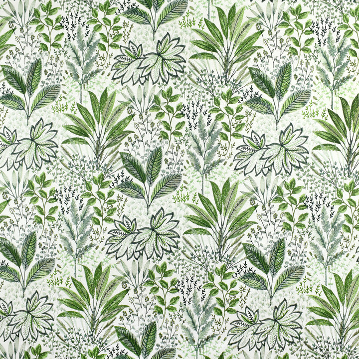S2679 Fern by Greenhouse Fabric 73% Polyester, 27% Cotton With 100% Rayon Embroidery India 9,000 double rubs </p><p>Repeat: 26" H, 18" V 52" - Fabric Carolina -