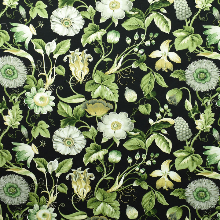 S2714 Laurel by Greenhouse Fabric S35: Statement Prints 100% Cotton Peru 15,000 double rubs </p><p>Repeat: 27" H, 17" V 54" - Fabric Carolina -