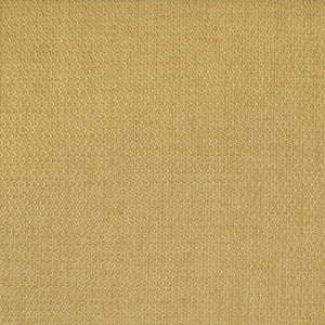 S2734 Maize by Greenhouse Fabric