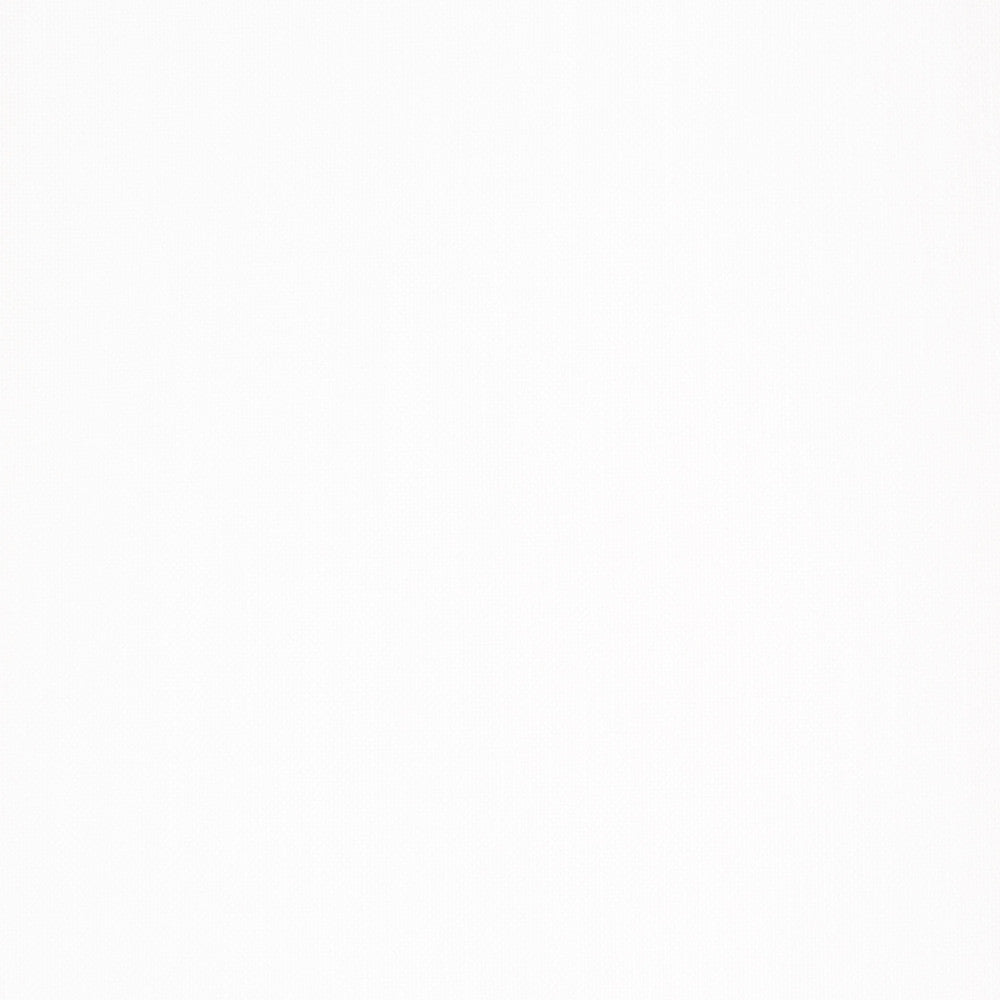 S2783 Snow by Greenhouse Fabric 100% Polyester China 100,000 double rubs </p><p>Repeat: None 54" - Fabric Carolina -
