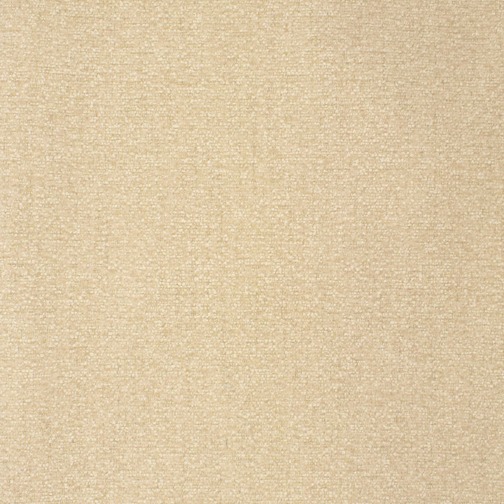 S2803 Snow by Greenhouse Fabric 100% Polyester China 100,000 double rubs </p><p>Repeat: None 54" - Fabric Carolina -