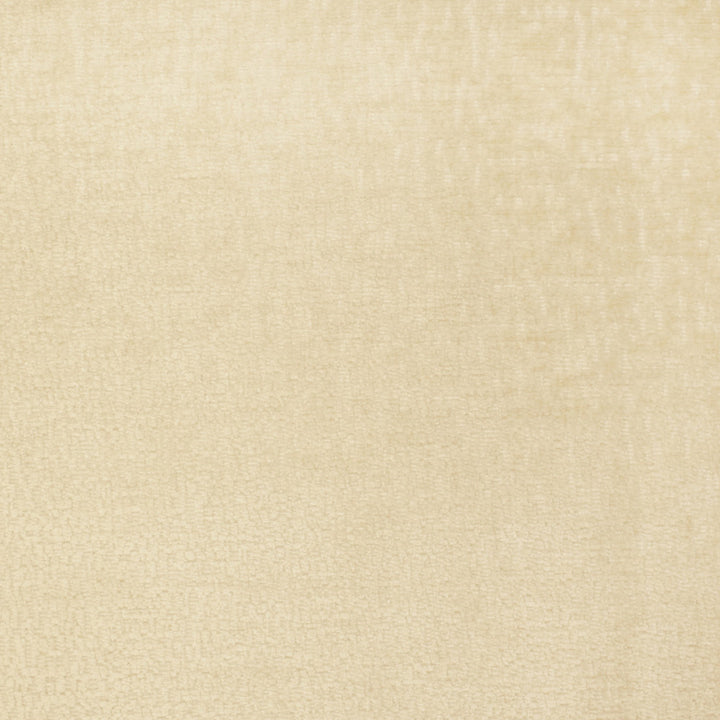 S2805 Custard by Greenhouse Fabric 100% Polyester China 50,000 </p><p>Repeat: None 54" - Fabric Carolina -
