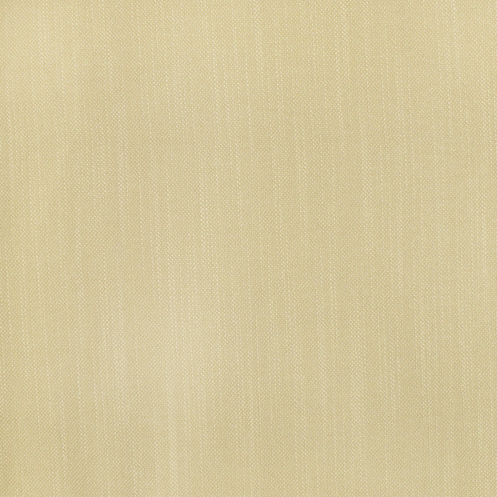 S2806 Parchment by Greenhouse Fabric 100% Polyester China 100,000 double rubs </p><p>Repeat: None 54" - Fabric Carolina -