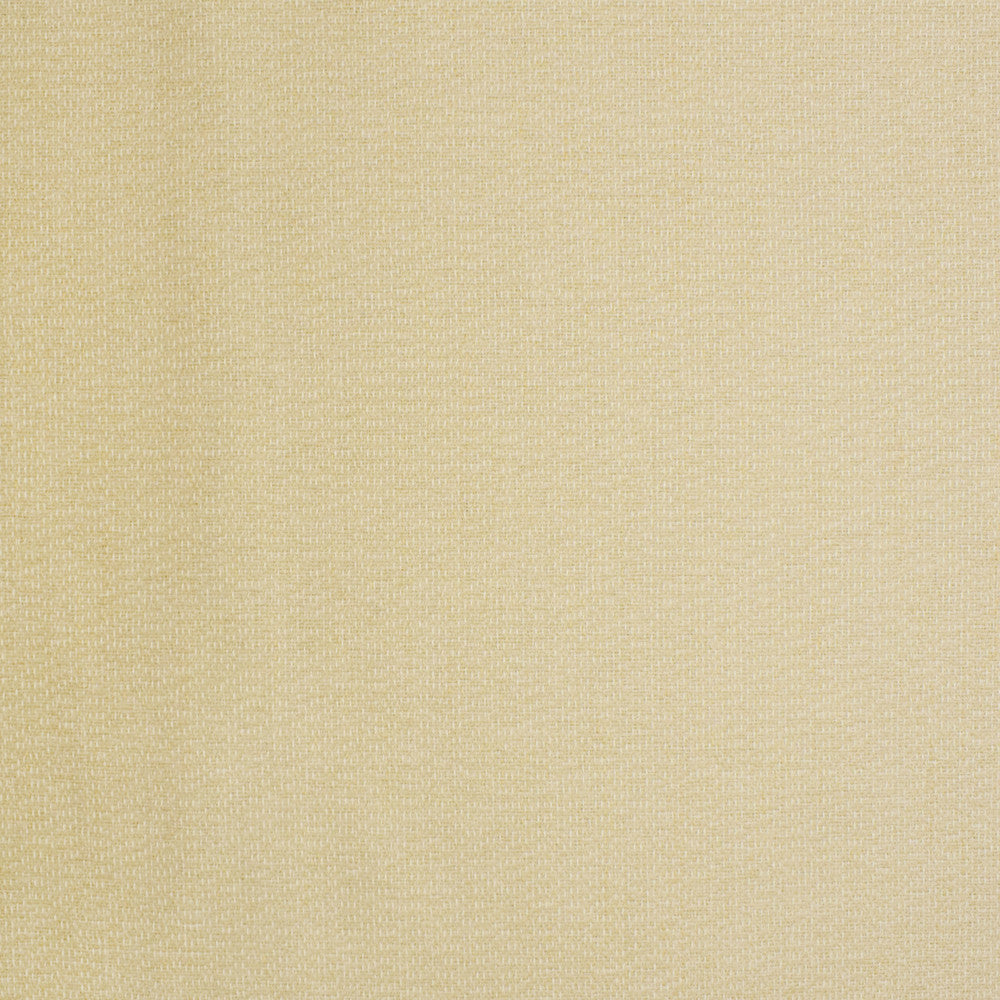 S2807 Natural by Greenhouse Fabric S37: Crypton Home Neutral Plains 95% Polyester, 5% Acrylic China 100,000 double rubs Soil & Stain Repellent </p><p>Repeat: None 54" - Fabric Carolina -