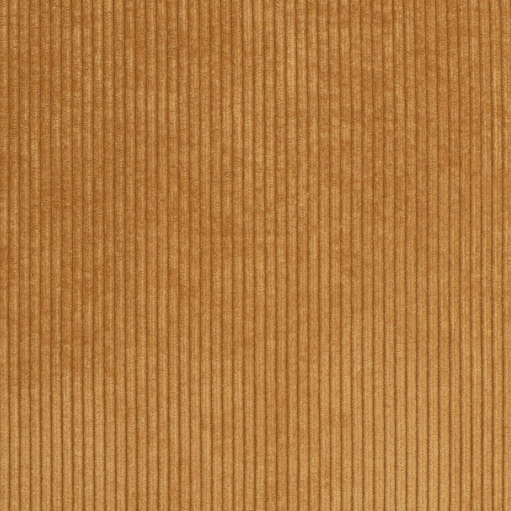 S2850 Ginger by Greenhouse Fabric 92% Polyester, 8% Nylon China 102,000 double rubs </p><p>Repeat: None 57" - Fabric Carolina -