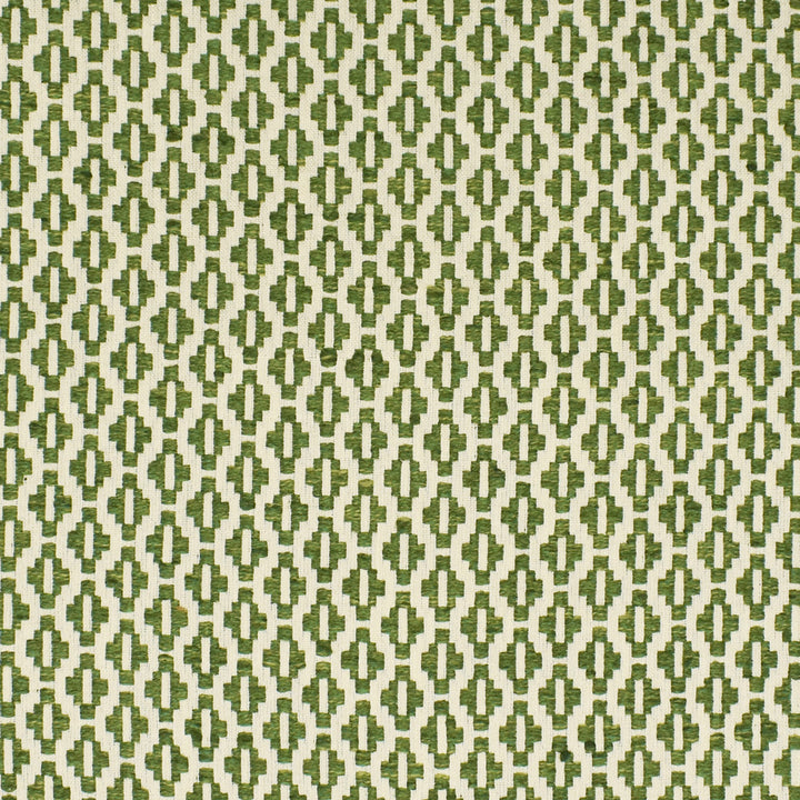 S2855 Fern by Greenhouse Fabric S38: Capri Colors 65% Polyester, 35% Cotton India 50,000 double rubs </p><p>Repeat: .8" H, .75" V 54" - Fabric Carolina -