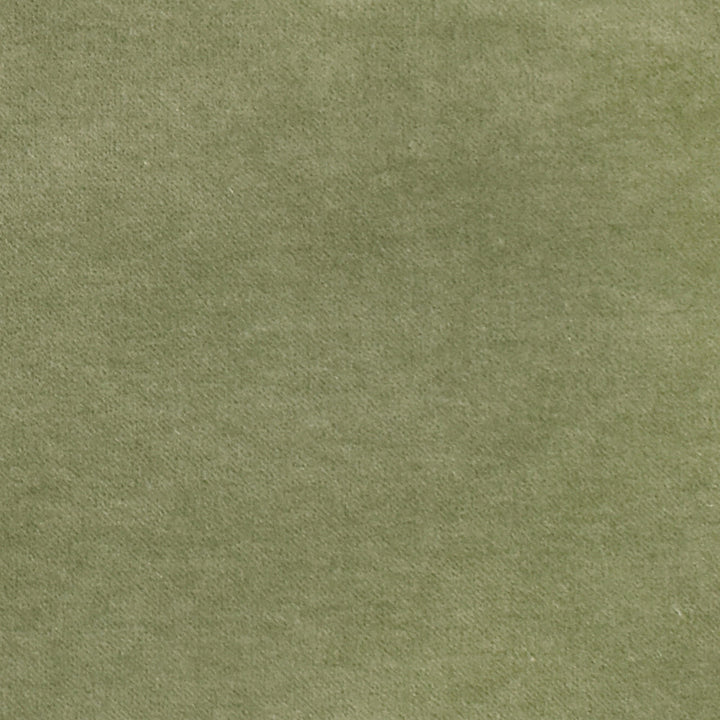 S2862 Lilypad by Greenhouse Fabric 80% Polyester, 20% Cotton China 100,000 double rubs </p><p>Repeat: None 55" - Fabric Carolina -