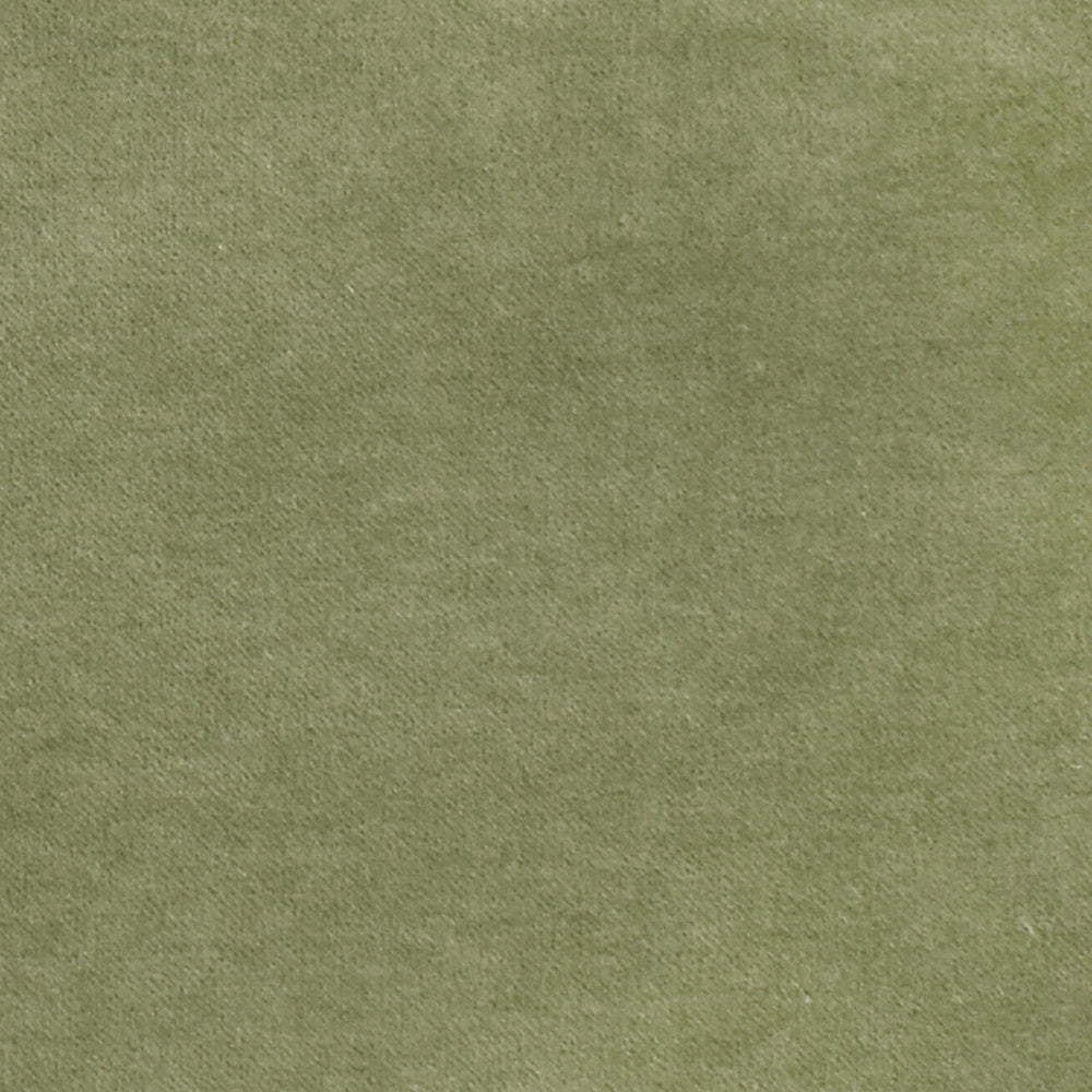 S2862 Lilypad by Greenhouse Fabric 80% Polyester, 20% Cotton China 100,000 double rubs </p><p>Repeat: None 55" - Fabric Carolina -