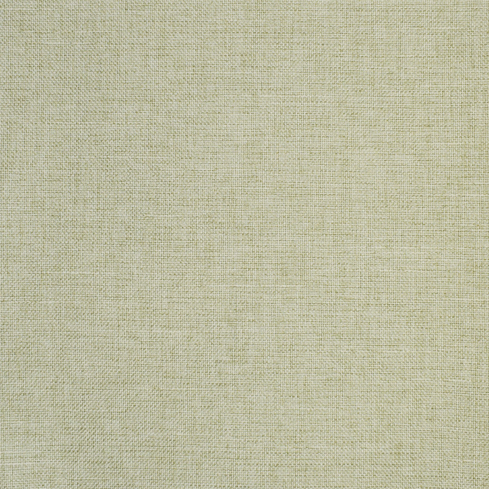 S2864 Celery by Greenhouse Fabric 100% Polyester China 51,000 double rubs </p><p>Repeat: None 55" - Fabric Carolina -