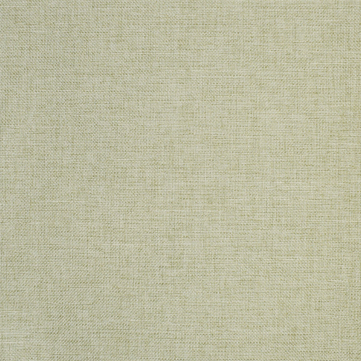 S2864 Celery by Greenhouse Fabric 100% Polyester China 51,000 double rubs </p><p>Repeat: None 55" - Fabric Carolina -