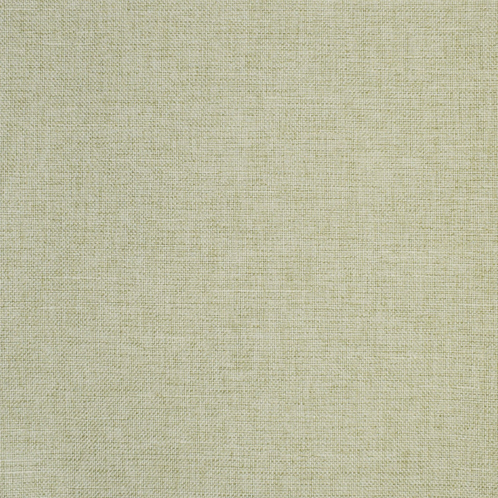 S2864 Celery by Greenhouse Fabric 100% Polyester CHINA 51,000 </p><p>Repeat: None 55" - Fabric Carolina -