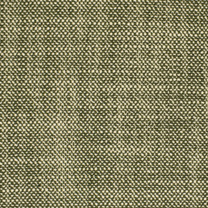 S2871 Basil by Greenhouse Fabric