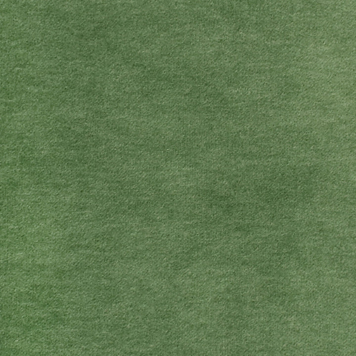 S2875 Fern by Greenhouse Fabric 80% Polyester, 20% Cotton China 100,000 double rubs </p><p>Repeat: None 55" - Fabric Carolina -