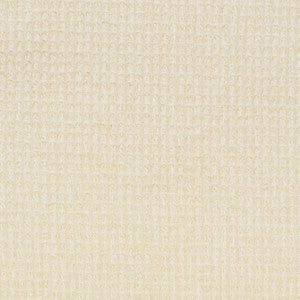 S2893 Cloud by Greenhouse Fabric