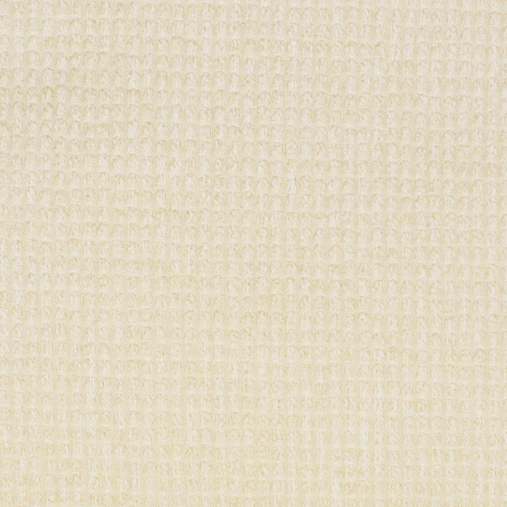 S2893 Cloud by Greenhouse Fabric S39: Capri Neutrals 45% Olefin, 32% Polyester, 23% Cotton USA 100,000 double rubs </p><p>Repeat: 5.3" H, 6.75" V 54" - Fabric Carolina -