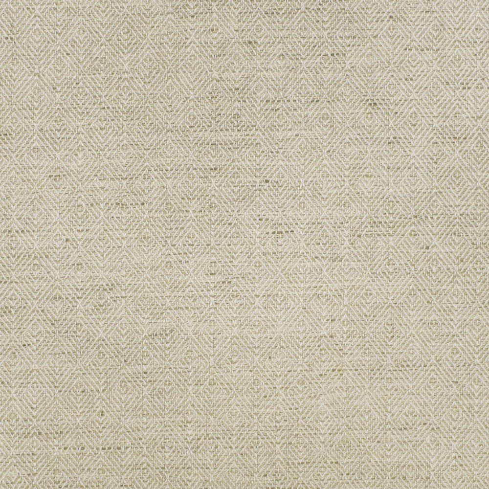 S2907 Birch by Greenhouse Fabric 79% Polyester, 21% Cotton INDIA 100,000 </p><p>Repeat: 1" H, 1.25" V 55" - Fabric Carolina -